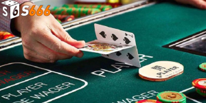 Các Lời Khuyên Khi Sử Dụng Tool Hack Baccarat